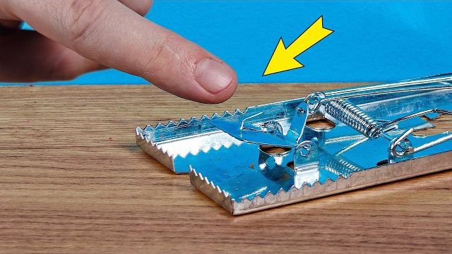 ЧТО БУДЕТ ЕСЛИ СУНУТЬ ПАЛЕЦ В МЫШЕЛОВКУ? Alex Boyko