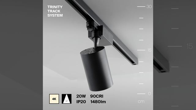 Светильник Maytoni Trinity Vuoro TR029-3-20W4K-M-B