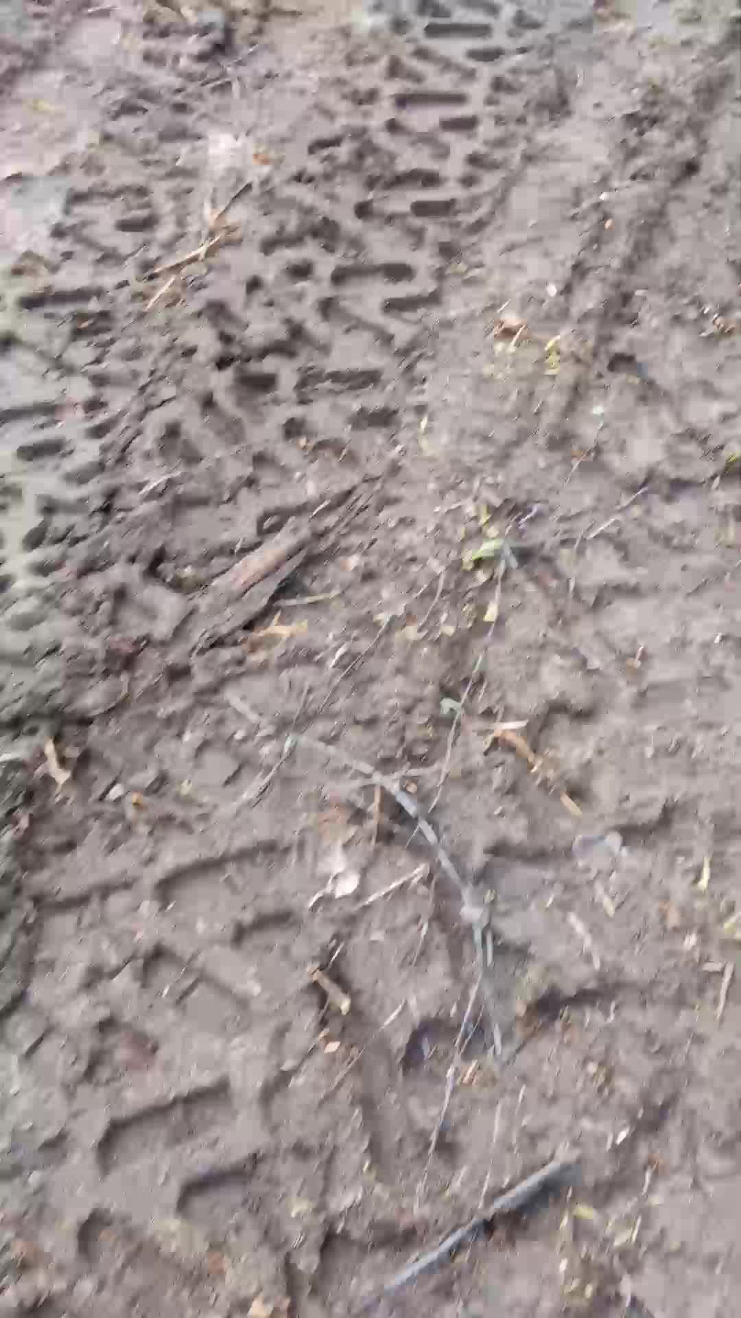 Boxing Board иду домой