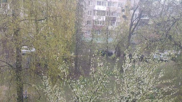 весной снег