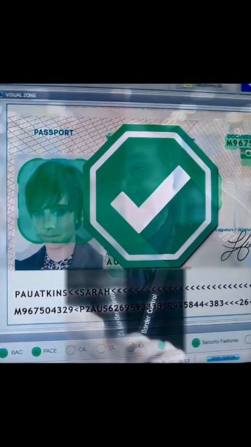 🍿 Маскарад для аэропорта