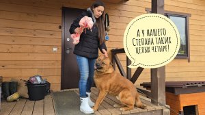 Пёс Кубик снова дождался своего счастья! Маша навестила сову Ёлку и привезла нам снег из Москвы