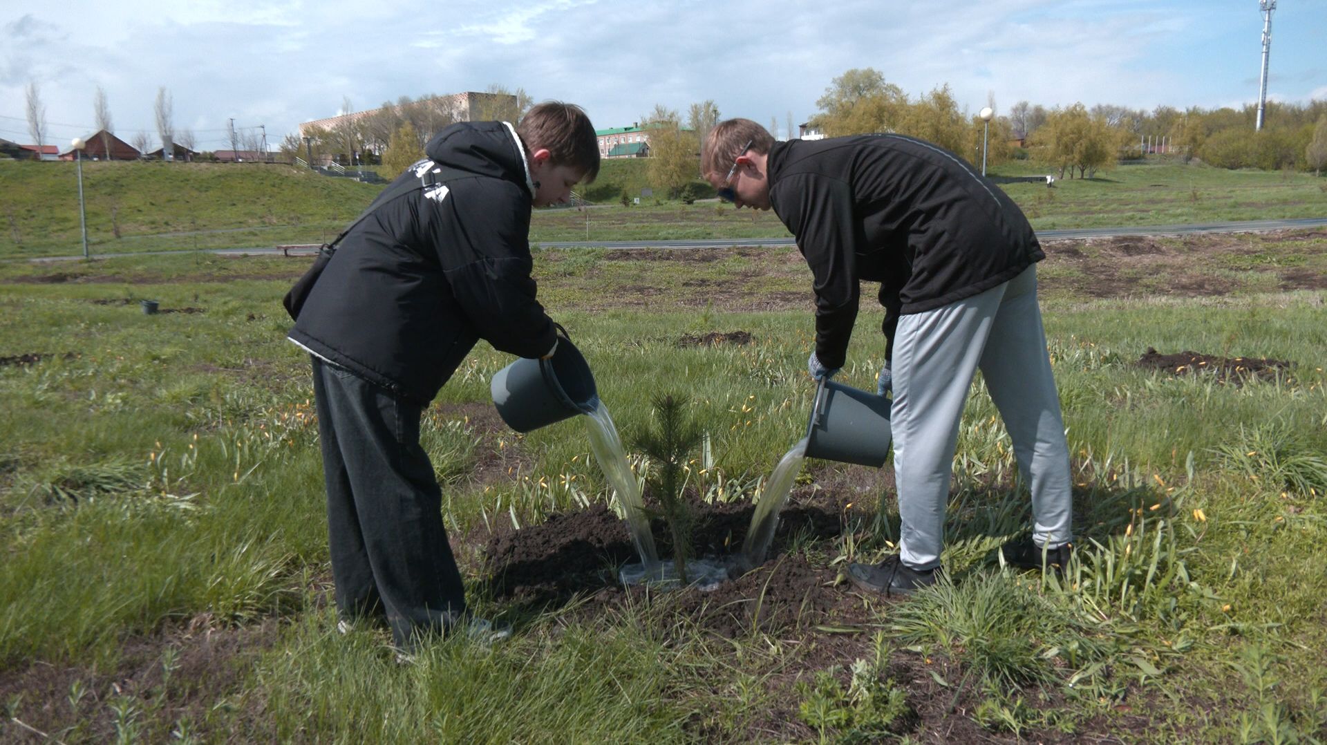 Бузулукская молодёжь посадила деревья в преддверии Дня Победы