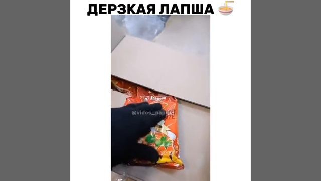 Дерзкая лапша