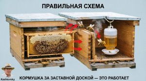 Кормушка за заставной доской: спор 40 лет. Кашковский объясняет, почему это гениально просто 🐝🍯