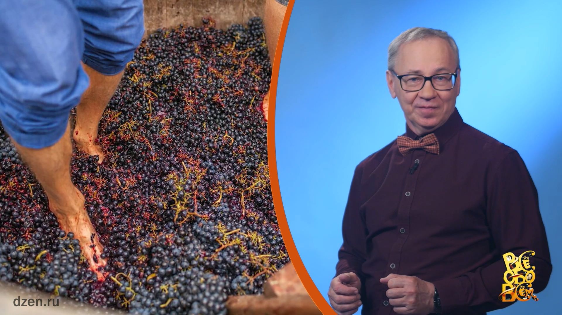 Всё обо всём. Вино ногами. Выпуск от 30.04.26