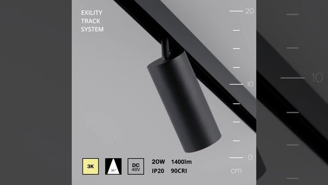 Светильник Maytoni Exility Focus LED TR032-2-20W3K-M-B