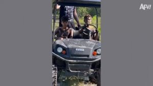 Итоги смеха! 🤣 Самые смешные видео года.