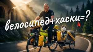 Можно ли путешествовать с собакой на велосипеде? История хаски - Джека