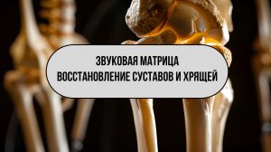 Матрица для восстановления хрящей и суставов / звуковая матрица / исцеляющие частоты