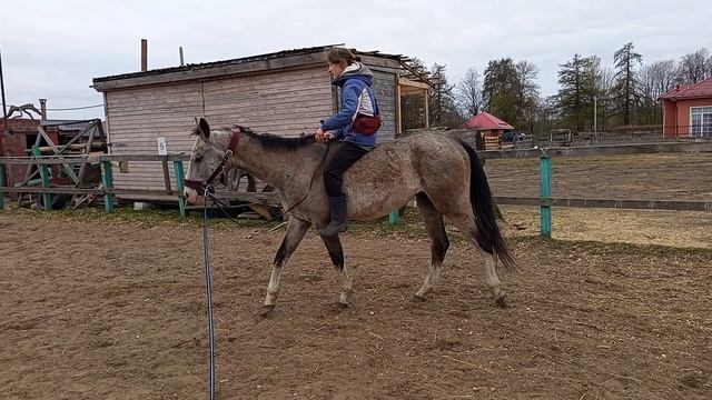 #жизнь_Аликорна 30.04.26 Таня на Софокле.