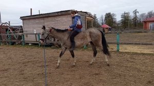 #жизнь_Аликорна 30.04.26 Таня на Софокле.