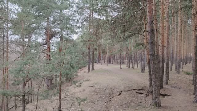 Бредовые работы. Что это такое и каким образом влияет на организацию?