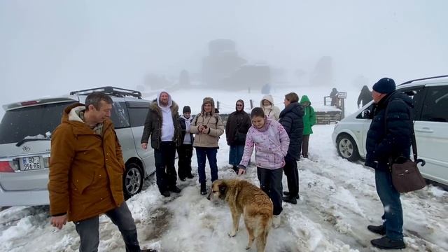 Вот такая погода в Тбилиси