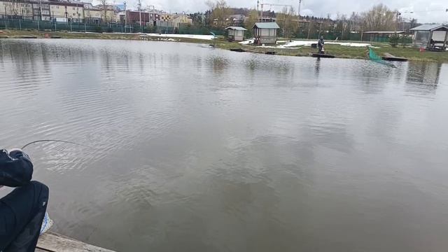 VID_20260430_114431_533