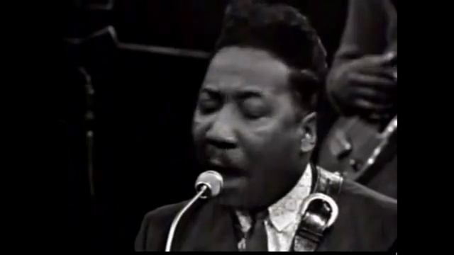 Суперзвезды Чикагского блюза с Максвелл Стрит