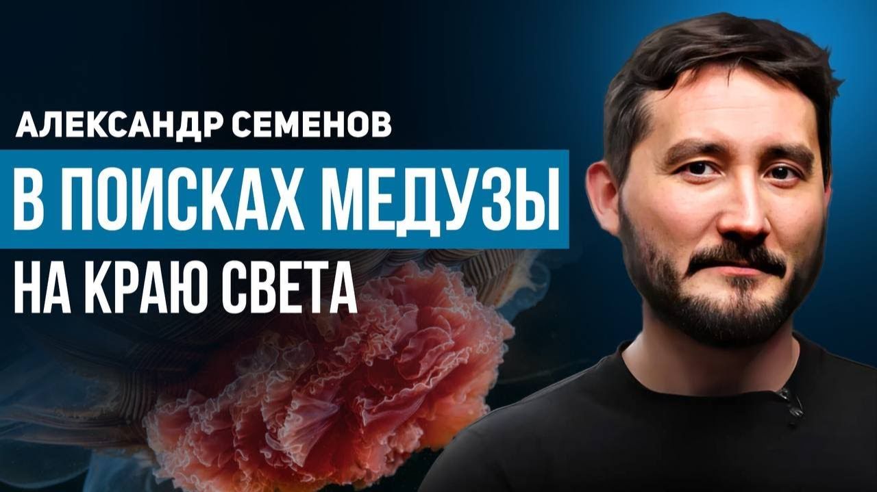 Александр Семенов: В поисках медузы на краю света
