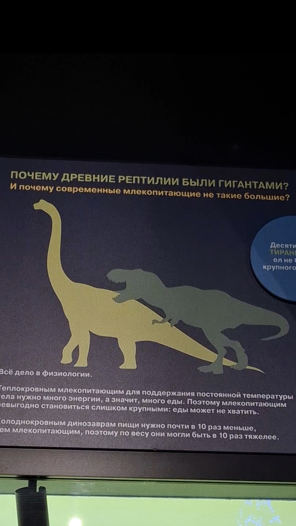 Почему древние рептилии были огромными?❤️🔥в Музее истории Мироздания #археология #древность #мир