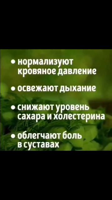 Дача своими руками