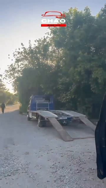 -7797922916182054485