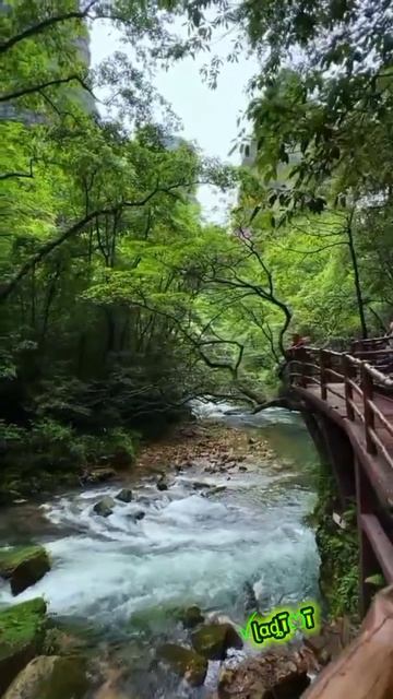 Одинокий пастух! Классная музыка, сливается с природой 🎶🎼💦