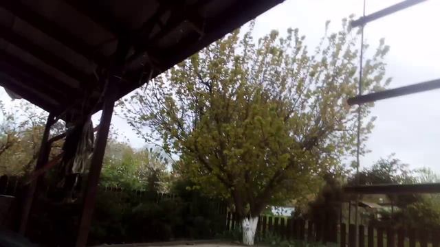 VID_20260430_161705.3gp