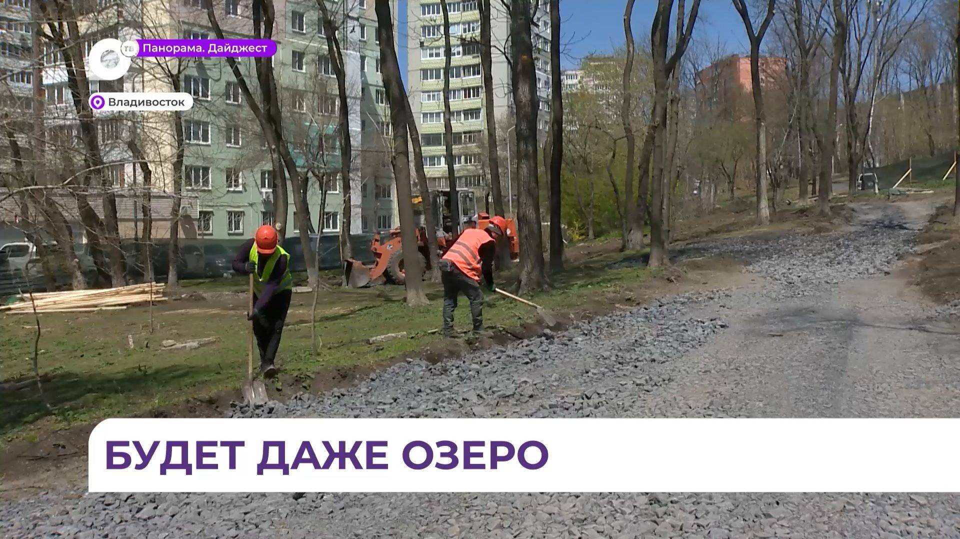 Во Владивостоке начались работы по благоустройству аллеи на улице Кирова