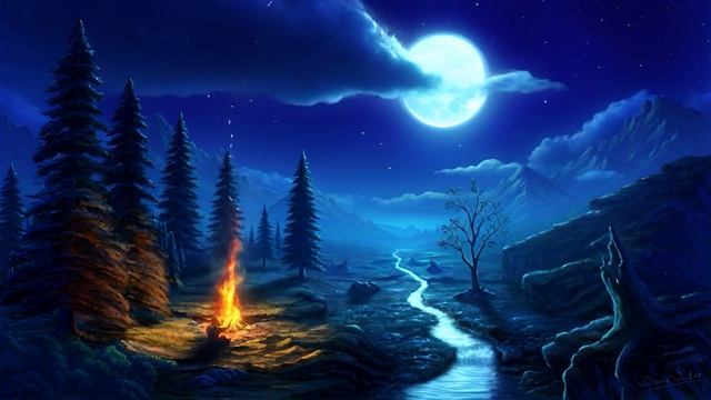 Красивый вид, луна, костёр