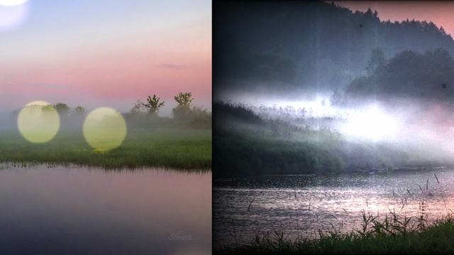 Туман над рекой