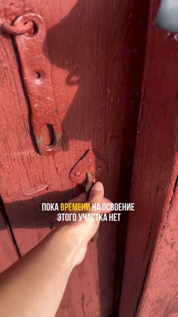 У вас отберут дачу, если вы не будете жарить шашлыки!