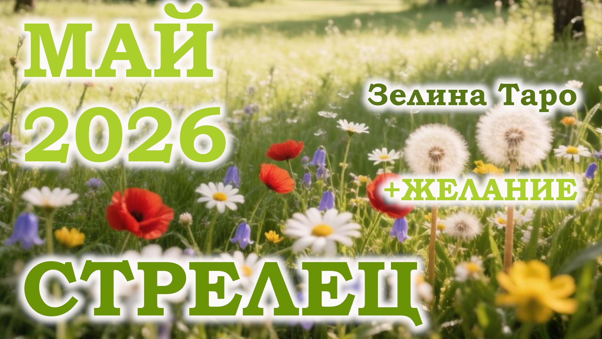СТРЕЛЕЦ | ТАРО прогноз на МАЙ 2026 года | Желание | Расклад таро