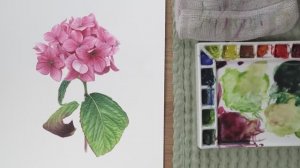 Как нарисовать акварелью листья гортензии 🌺 мастер-класс по рисованию 🍀 Часть 2