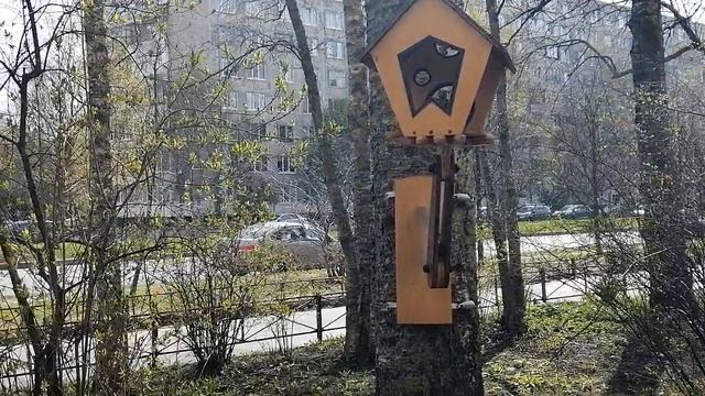 ЦВЕТЫ ТУШИНО АПРЕЛЬ 2026