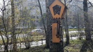 ЦВЕТЫ ТУШИНО АПРЕЛЬ 2026
