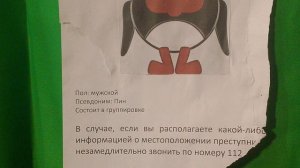 Крутое видео про смешариков😎