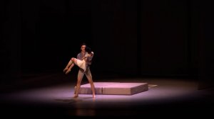 «Лебедь» взлетел в Мариинке: китайский театр привез в Петербург балет на плечах