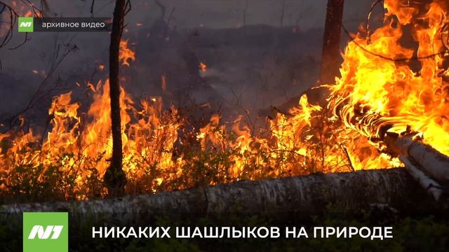 За поход на природу на шашлыки вартовчан будут штрафовать