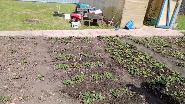 дела домашние 30апреля