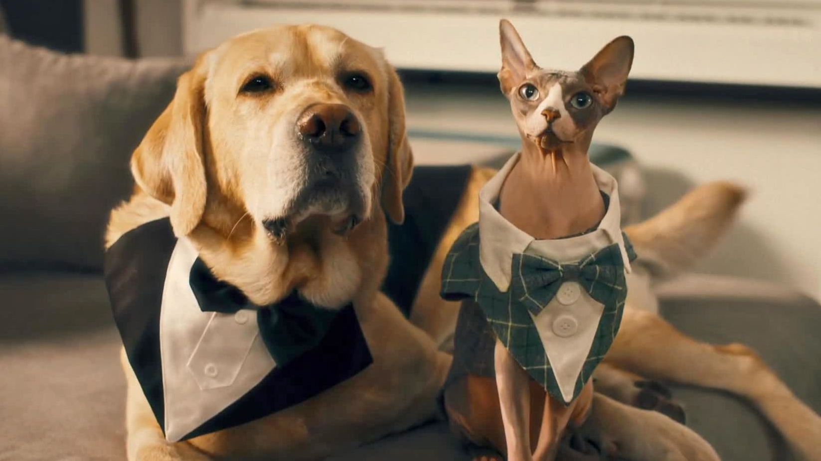 Дени и Мэни — Русский трейлер (2026)