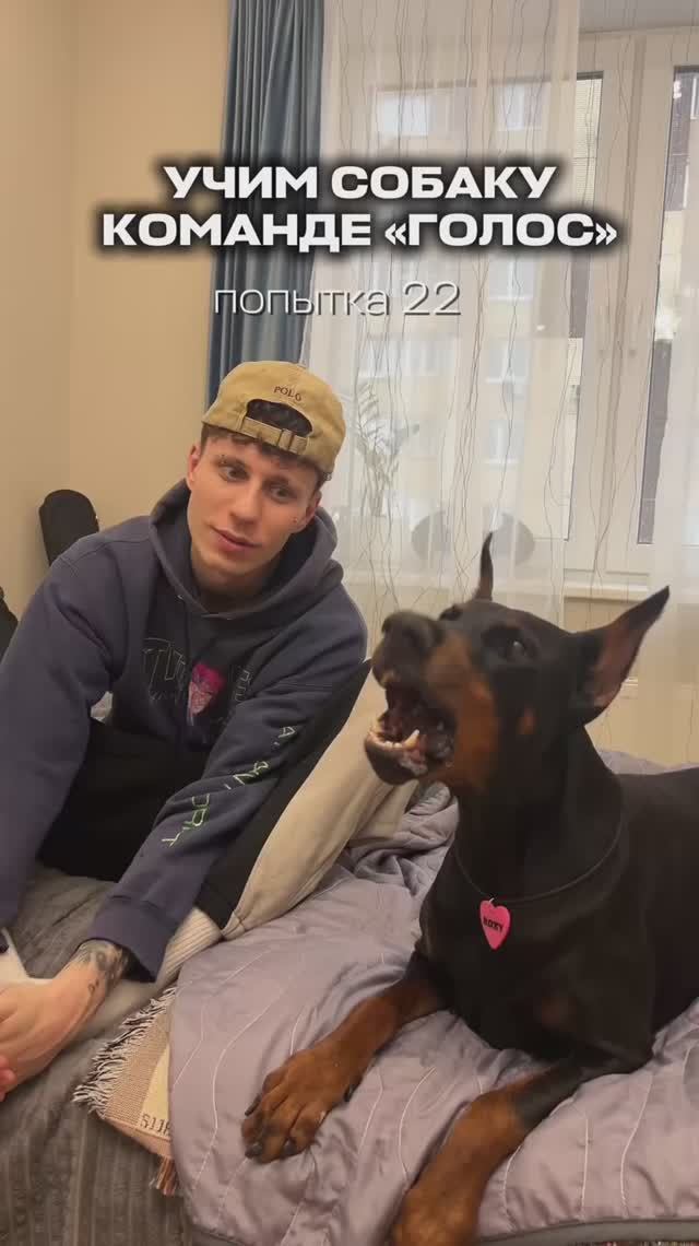 УЧИМ РОКСИ ГОЛОСУ 🔉