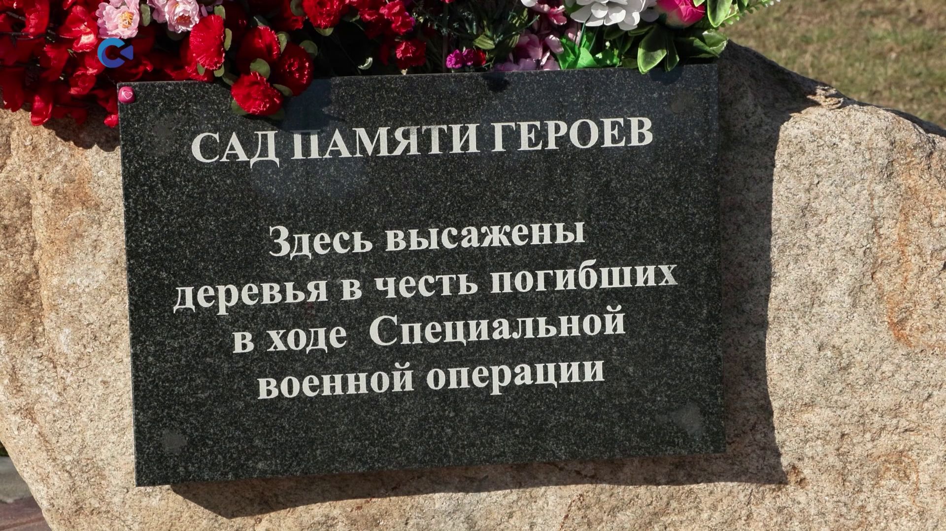 Сад памяти героев в Петрозаводске подготовили к благоустройству