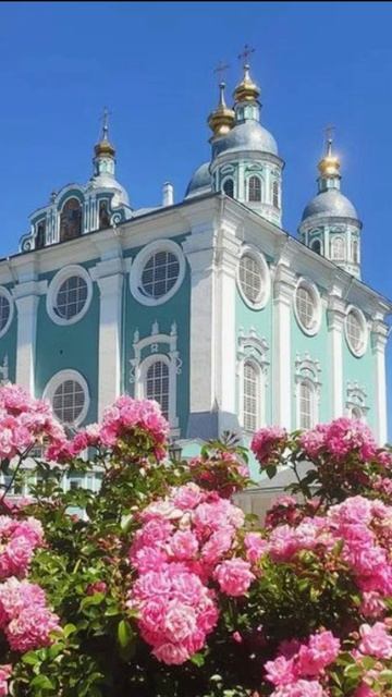 Душевный лекарь#Церковь#shortvideo#shorts#Молитва#Православие