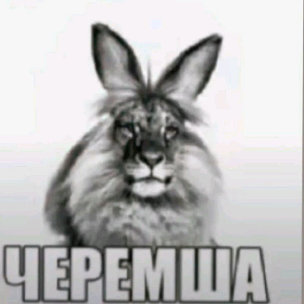 транслируе дом