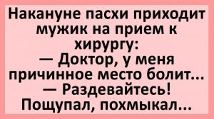 Накануне пасхи приходит мужик на прием к хирургу... | Анекдоты смешные | Юмор