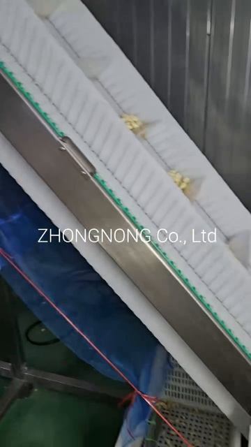 фабрика чеснок