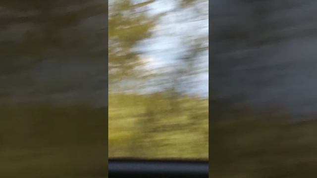 Моё путешествие к бабушке!