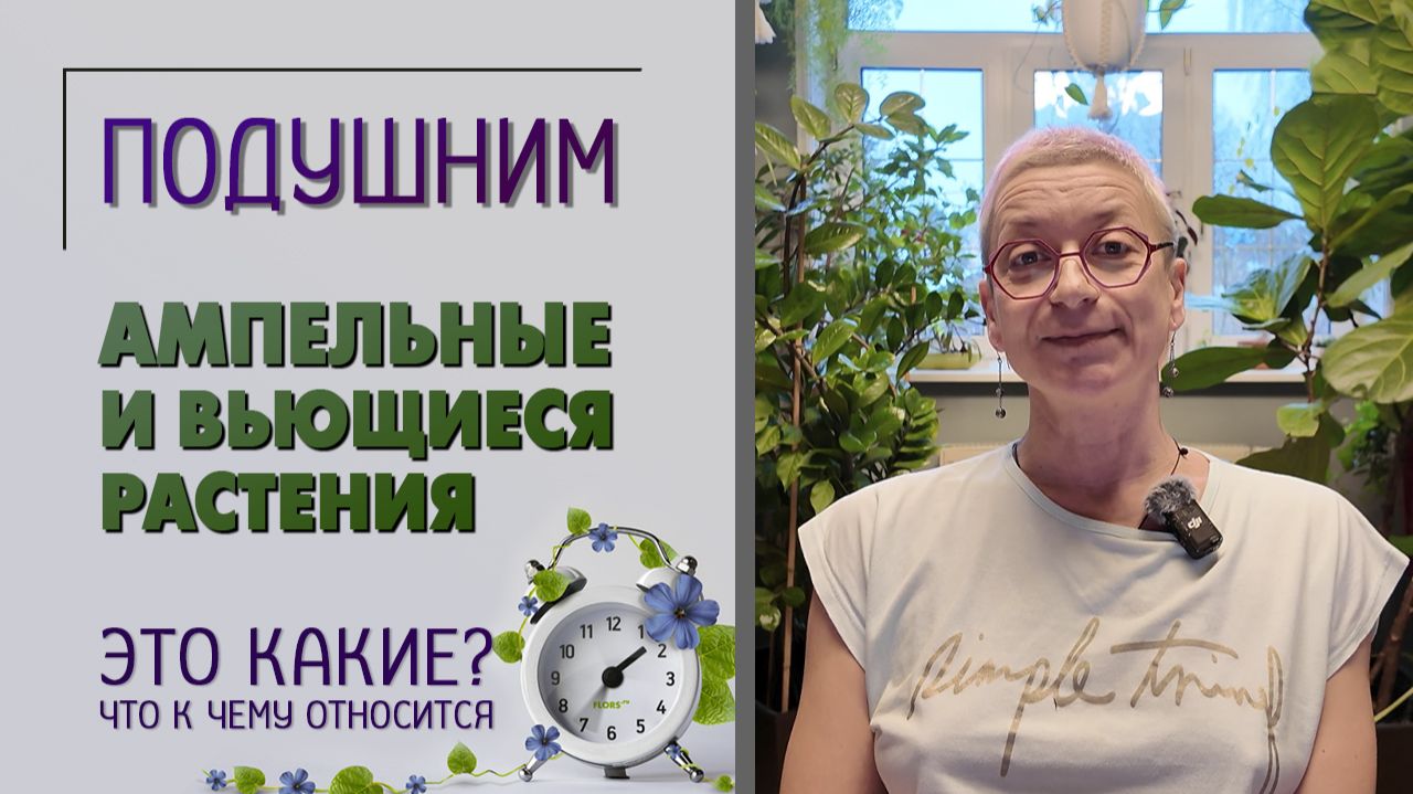 Ампельные и вьющиеся растения: это все-таки какие? Что к чему отнести, подборки ампельных. Подушним.
