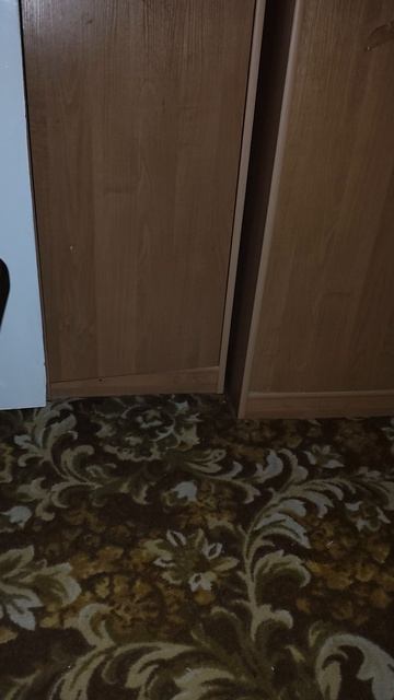 Просто отлично...