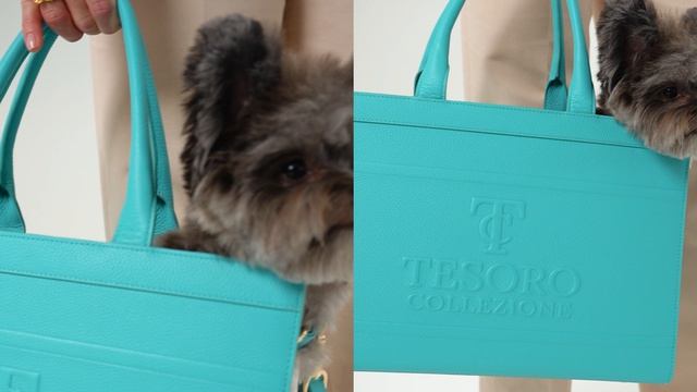 Сумка переноска для собак Tesoro Collezione