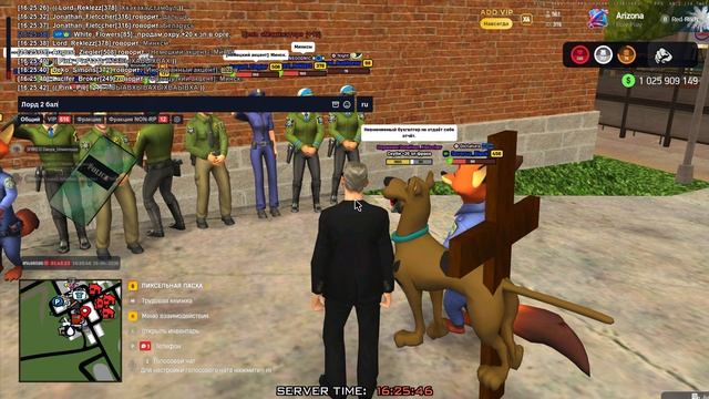 вто. МП РКШД